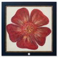 Art Print - "Red Poppy" by Victoria Fenninger